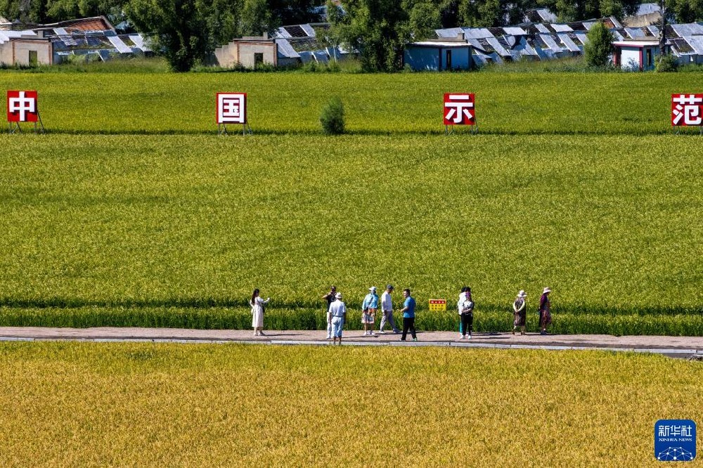 智慧农田让农业观光旅游玩出新花样