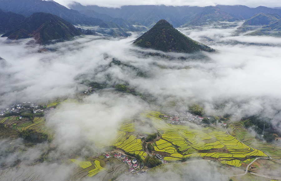 安徽旌德：梯田“种风景” 雨后惹人醉