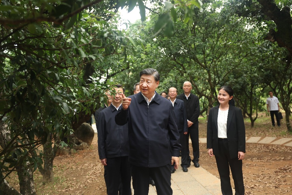 习近平总书记在广东省茂名市考察调研